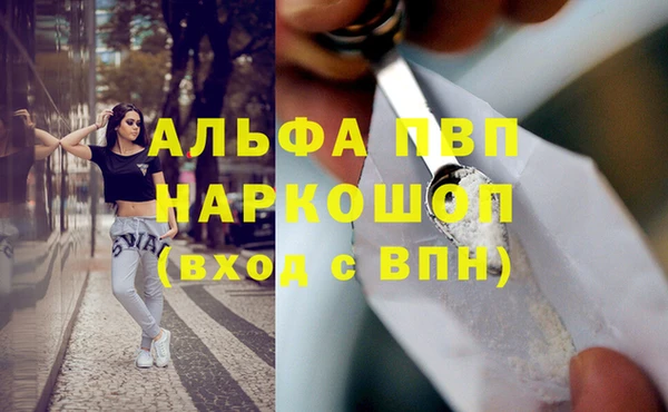 стаф Бронницы