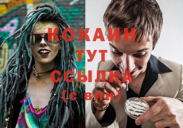 стаф Бронницы