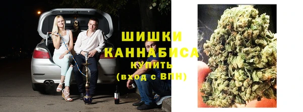 стаф Бронницы