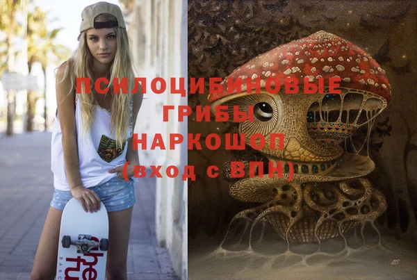 дживик Бугульма