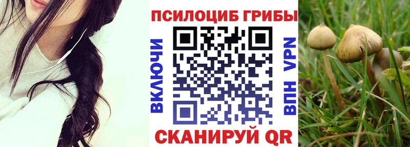 Псилоцибиновые грибы GOLDEN TEACHER  Инза 